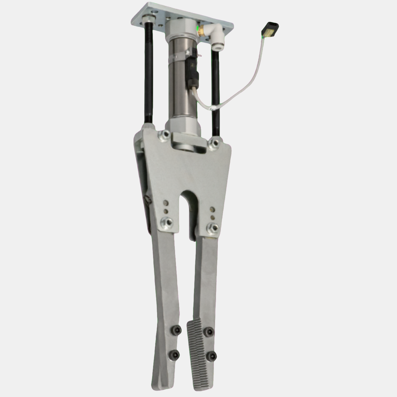 ランナーチャック