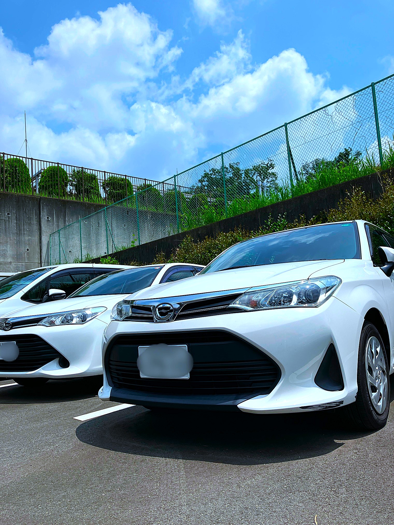 国内営業部の画像